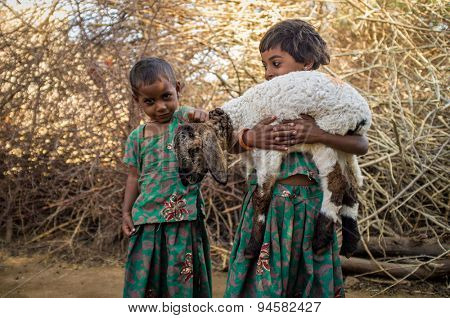 GODWAR REGION, INDIA - 13 FEBRUARY 2015: Two little Rabari girls in stable with small lamb. Rabari or Rewari are an Indian community in the state of Gujarat.