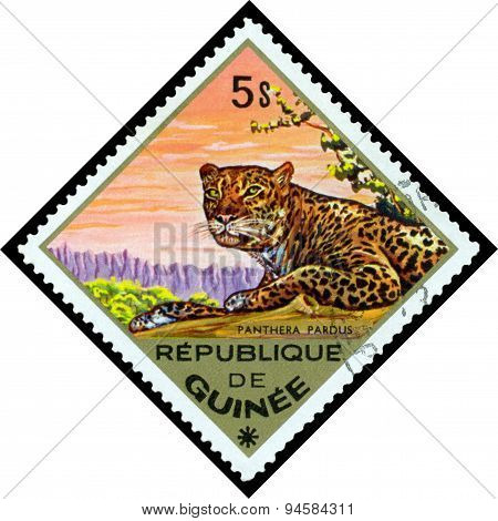 Vintage  Postage Stamp.  Leopard. Africa.