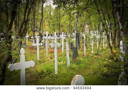 LAPLAND, SWEDEN ON SEPTEMBER 01