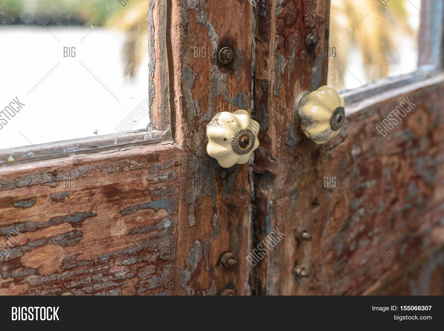 Image Preview
