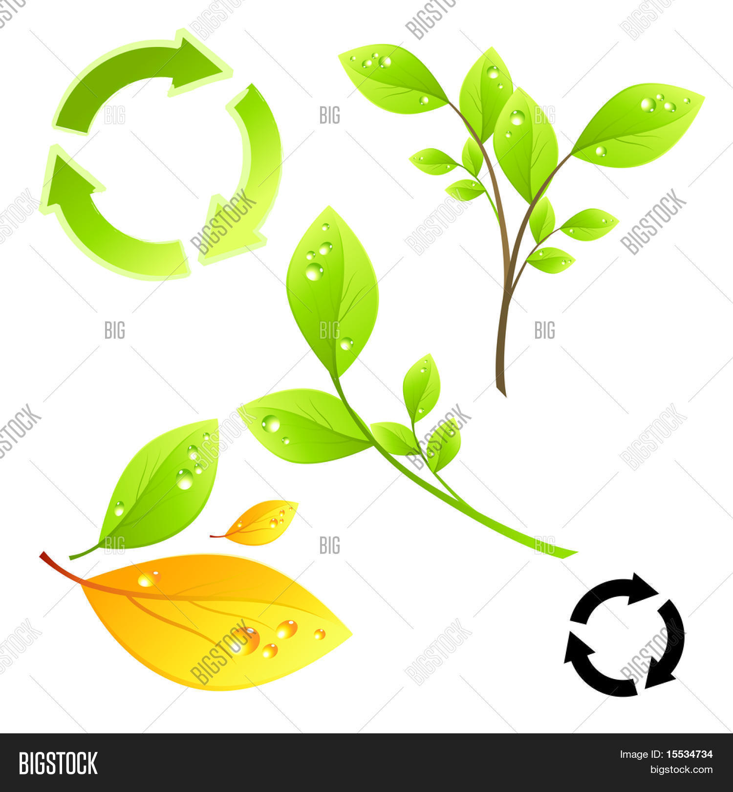 Image Preview
