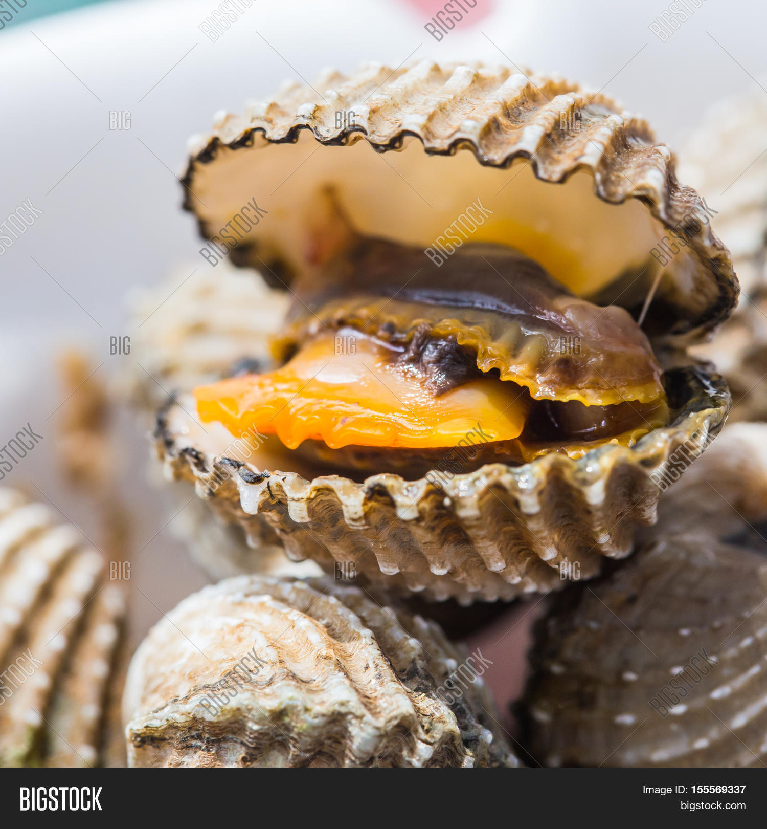Image Preview