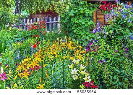 The flower garden at the cottage. Siberia Novosibirsk oblast Russia