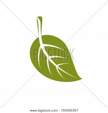 Single vector flat green leaf isolated on white background. Herbal and botany symbol spring season natural icon.