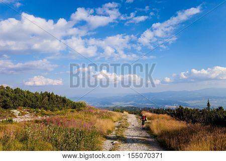 Tourist in Beautiful Furkotska dolina on the way to Bystre sedlo - in slovakian high Tatra mountains. Summer panorama with great weather and blue sky