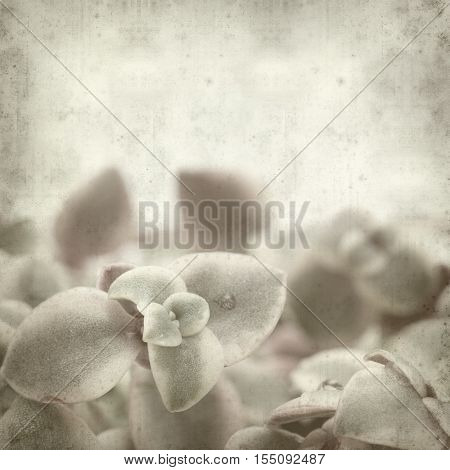 Textured Old Paper Background