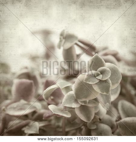 Textured Old Paper Background