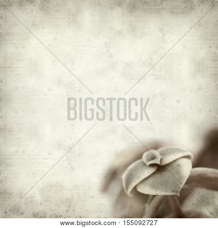 Textured Old Paper Background