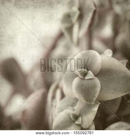 Textured Old Paper Background
