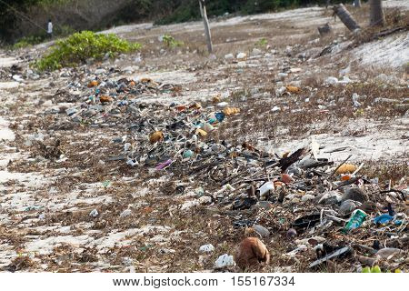 Pollution on the beach of tropical sea.