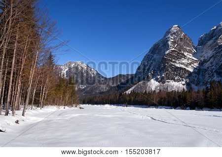 Julian Alps in winter in Val Saisera (Saisera Valley) with snowy peaks and blue sky. Tarvisio Friuli Venezia Giulia Italy Europe