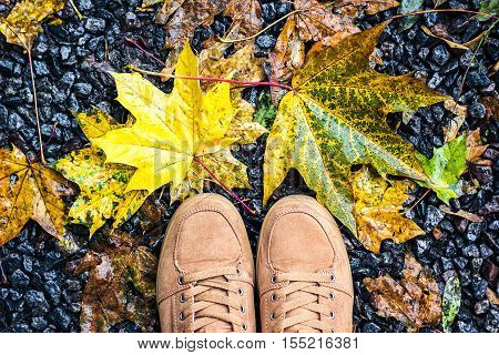 Looking down pair brown shoes standing ground fall wet yellow maple leaves Outdoor Autumn season nature background Lifestyle Fashion trendy style aerial view Copy space travel adventure concept selfie