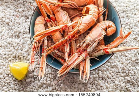 Seafood served on the beach on white rocks