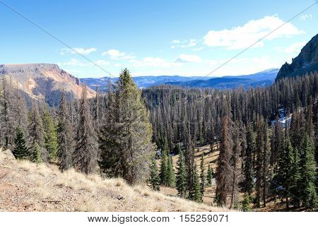 Elwood pass in Pagosa Springs in Colorado