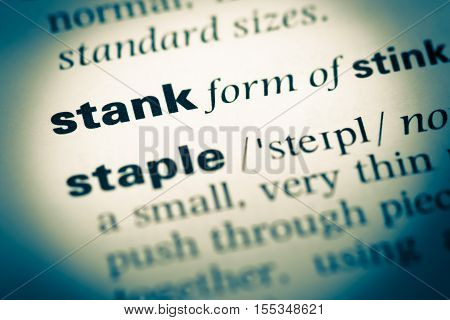Close Up Of Old English Dictionary Page With Word Stank