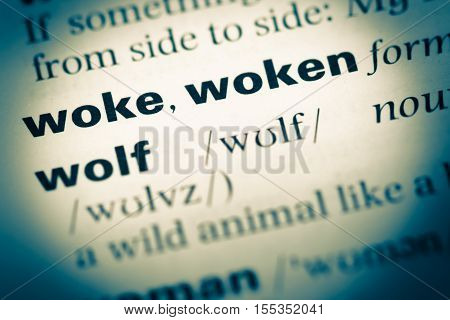 Close Up Of Old English Dictionary Page With Word Woke Woken