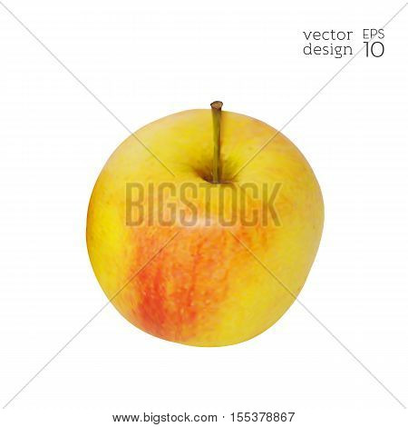 Apple-fruit-realistic-red-yellow-diet-6.eps