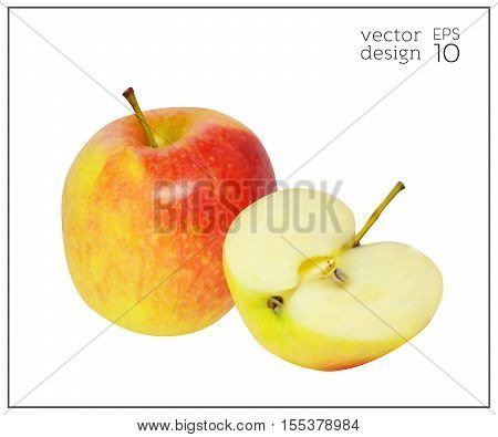 Realistic red and yellow apples iIsolated on white background. Natural fruit. Collection of dietary products. Apple in the cut. Elements for design. Vector illustration EPS 10.