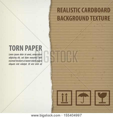 Torn Cardboard Pieces