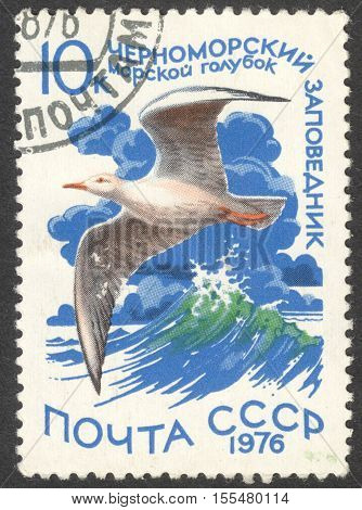 MOSCOW RUSSIA - CIRCA OCTOBER 2016: a post stamp printed in the USSR shows a Larus genei bird the series 