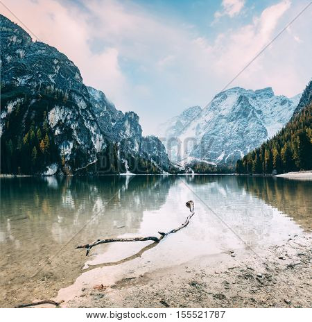 Great scene the alpine lake Braies (Pragser Wildsee). Location place Dolomite national park Fanes-Sennes-Braies, Italy. Europe. Cross processed retro and vintage style. Instagram effect. Beauty world.