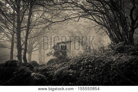 House infested by ghost in the forest