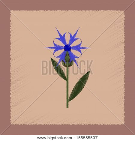 flat shading style icon of plant flower Centaurea