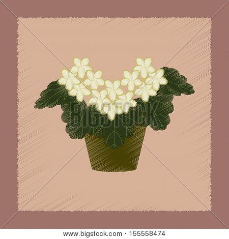 flat shading style Illustrations of plant Pelargonium
