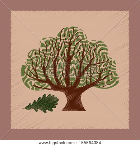 flat shading style Illustrations of plant Quercus
