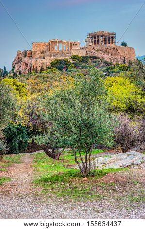 Parthenon and Herodium construction in Acropolis Hill in Athens, Greece. Beautiful landscape with green trees around ancient architecture.