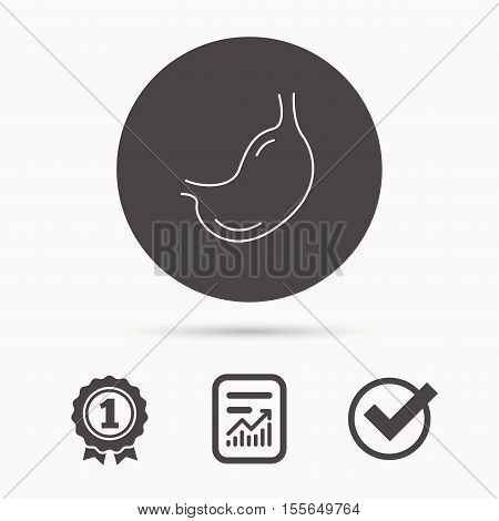 Stomach icon. Gastroscopy health sign. Anatomical body organ symbol. Report document, winner award and tick. Round circle button with icon. Vector