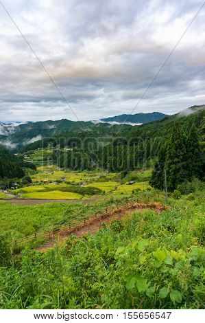 Japanese Rural Landscape With Rice Field Terraces