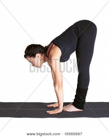 Jooga ammatillisilta Padangushthasana
