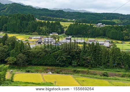 Japanese Countryside Town With Rice Fields