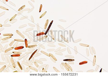 Mixed white red and black rice on white background. Rice background.