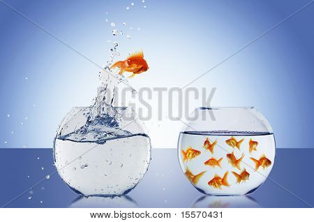 ปลากระโดดในพิพิธภัณฑ์สัตว์น้ำ