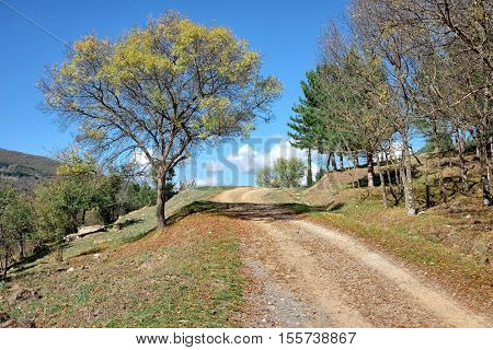 dirt road crosses autumnal landscape of Nebrodi Park, Sicily  