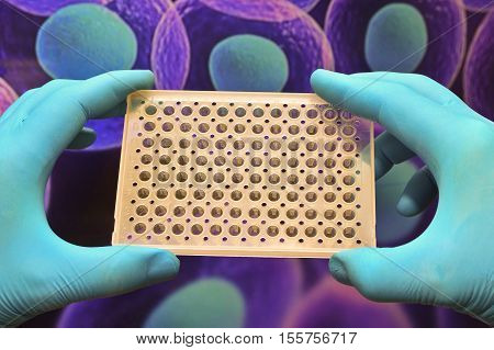 Research in biological laboratories. Hand in glove holding well microtiter plate on an abstract background cells of the body.