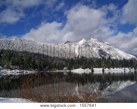 Sinistra Pond Creek Gold