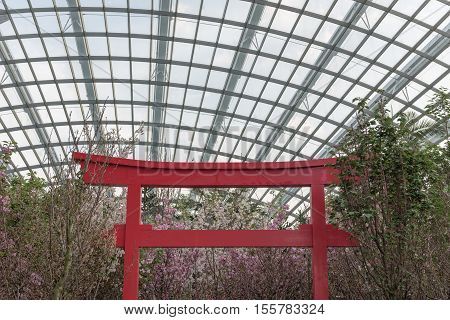 the Gardens by the Bay in Singapore