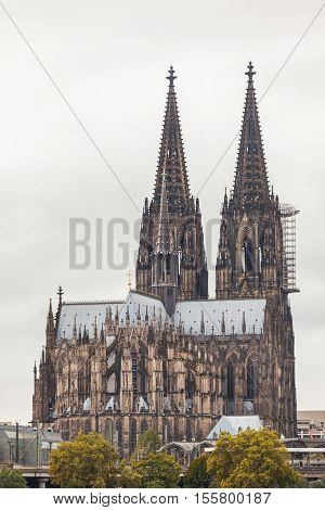 View of Koln cathedral in old town, Germany