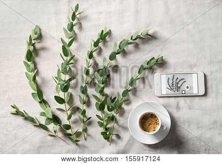 Green eucalyptus branches with cup of coffee on table