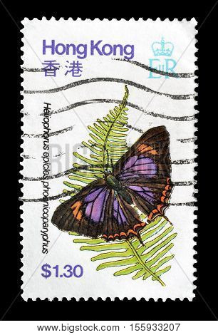 HONG KONG - CIRCA 1979 : Cancelled postage stamp printed by Hong Kong, that shows Heliophorus epicles phoenicoparyphus butterfly.