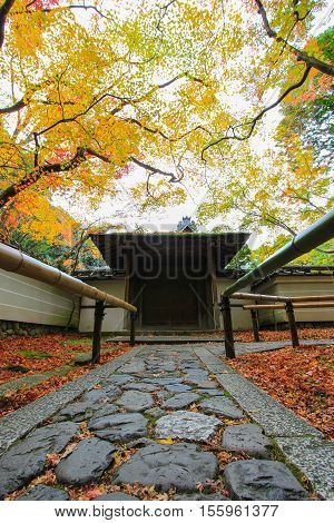 Colorful nature inside Kotoin temple, Kyoto Japan during autumn period