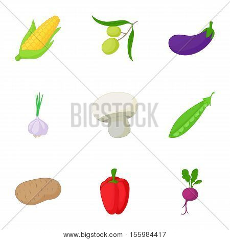 Healthy vegetables icons set. Cartoon illustration of 9 healthy vegetables vector icons for web