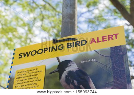 Brisbane, Australia - September 25, 2016: Close-up of Bird swooping warning sign during daytime. During breeding season, birds may swoop people in order to protect their eggs or the young ones.
