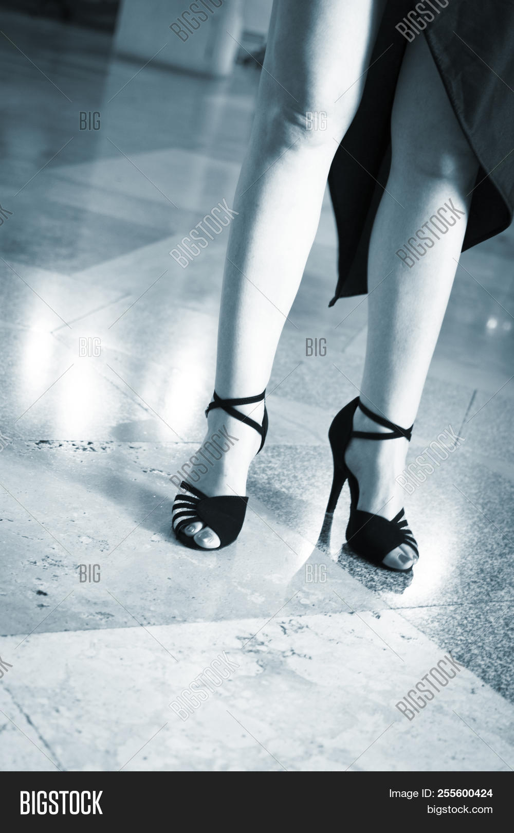 Hot Latin Legs