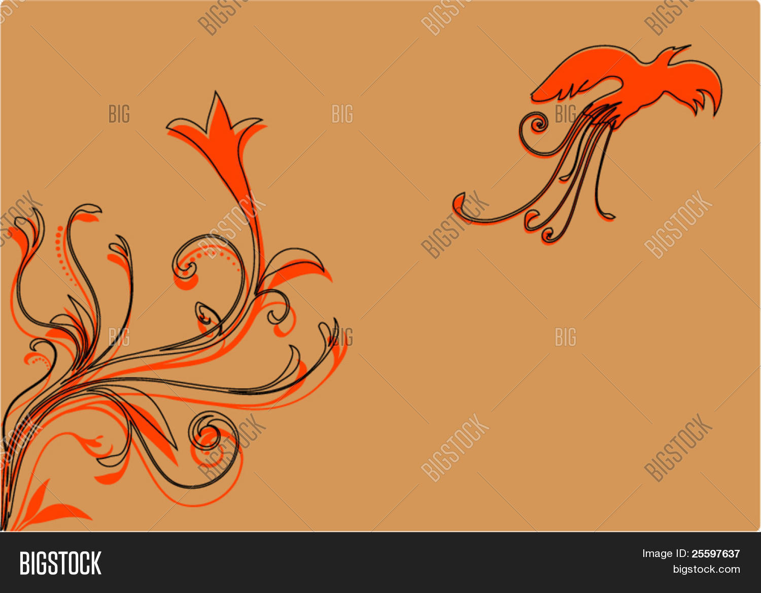 Image Preview
