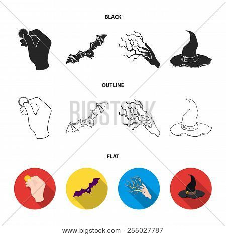 Focus With A Coin, A Bat, A Mage Hat, A Lightning-fast Spell.black And White Magic Set Collection Ic