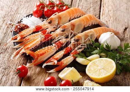 Luxury Fresh Raw Langoustine, Scampi With Ingredients Close-up On A Table. Horizontal